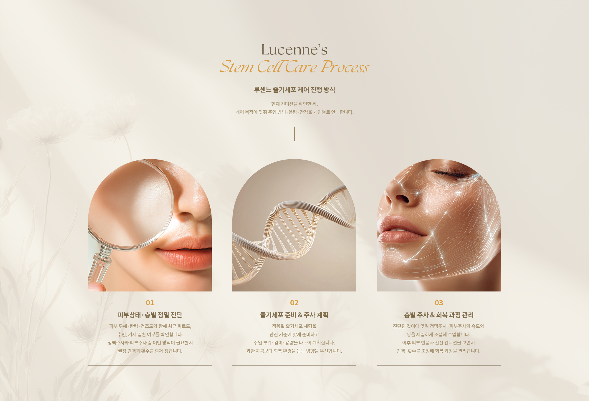[루센느 줄기세포 케어 진행 방식] [01] - 피부상태·층별 정밀 진단 [02] - [줄기세포 준비 & 주사 계획] [03] - 층별 주사 & 회복 과정 관리
