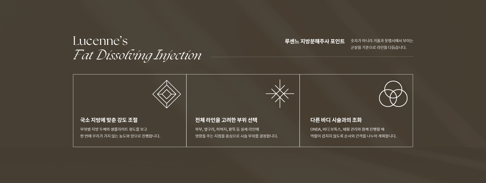 [루센느 지방분해주사 포인트] 국소 지방에 맞춘 강도 조절 / 전체 라인을 고려한 부위 선택 / 다른 바디 시술과의 조화