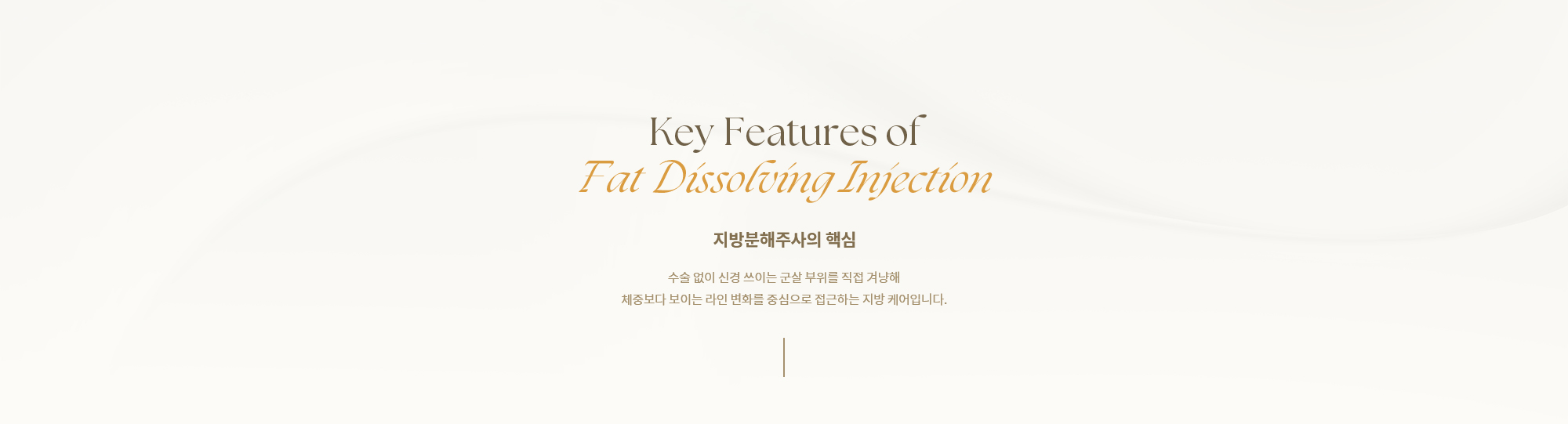 [지방분해주사의 핵심] 수술 없이 신경 쓰이는 군살 부위를 직접 겨냥해 체중보다 보이는 라인 변화를 중심으로 접근하는 지방 케어입니다.